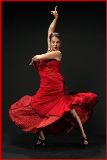 Flamenco flamenko
